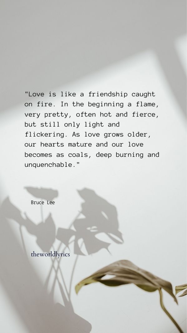 Love is like a friendship caught on fire. In the beginning a flame, very pretty, often hot and fierce, but still only light and flickering. As love grows older, our hearts mature and our love becomes as coals, deep burning and unquenchable.